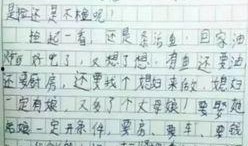 娱乐吃瓜酱小学生作文,小学生眼中的娱乐圈风云